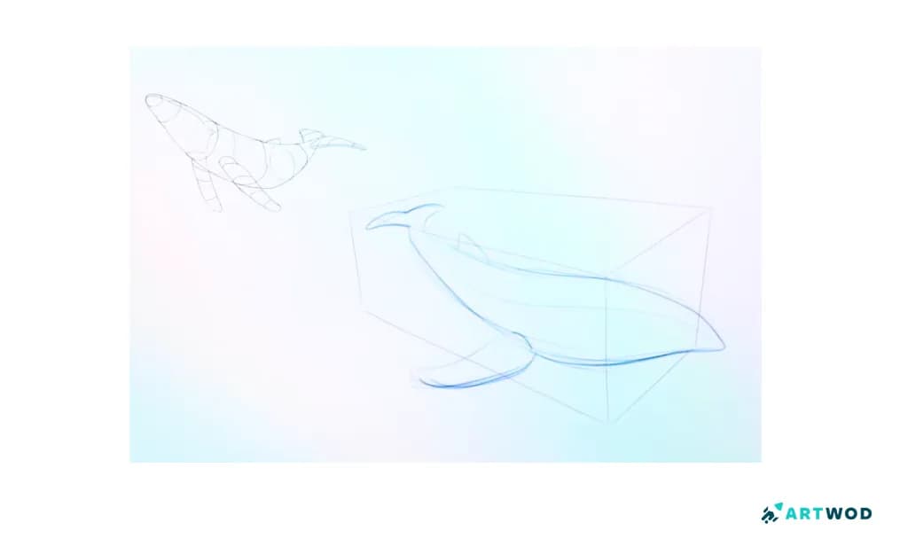 Step 3: Drawing Whales: Realistic and Stylised Marine Art