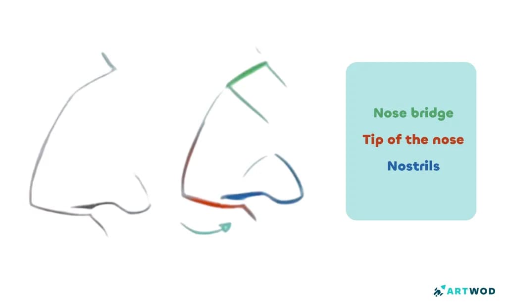 Step 1:&nbsp;Drawing Noses: Realistic and Stylised Techniques