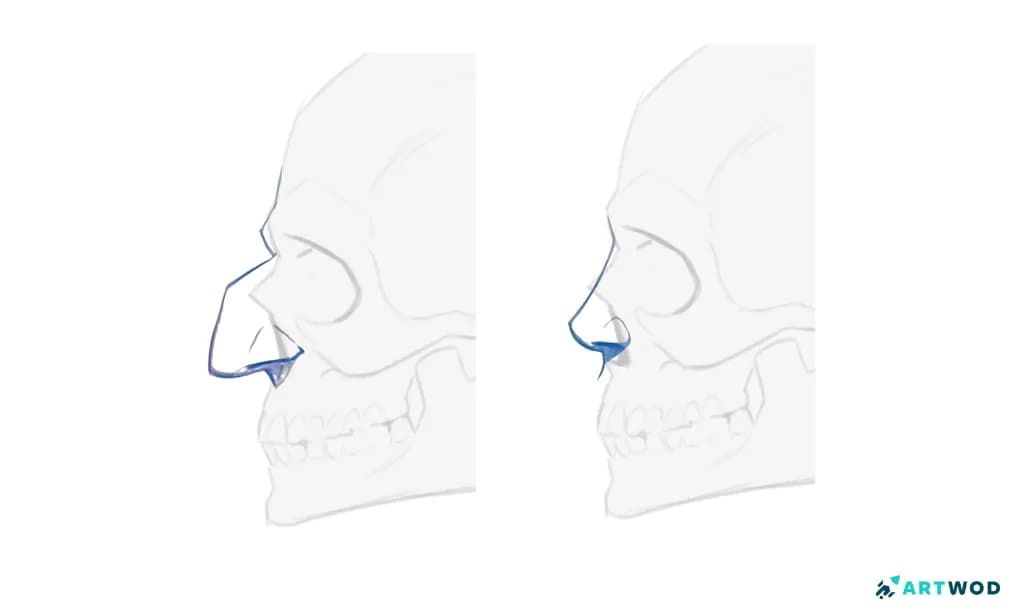Step 3:&nbsp;Drawing Noses: Realistic and Stylised Techniques