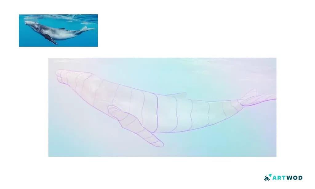 Step 2: Drawing Whales: Realistic and Stylised Marine Art