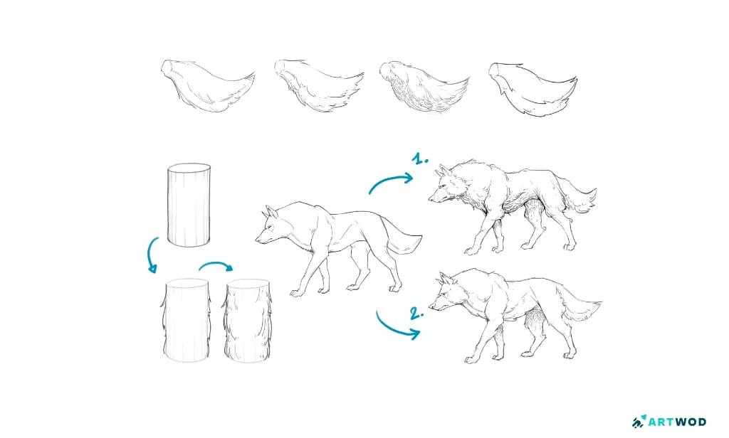 Wolfszeichnungen von Arne Billen, die erklären, wie man Fell zeichnet. Das Fell wird zuerst auf einem Zylinder und dann auf Wolfszeichnungen gezeigt. Digitale 2D-Zeichnung.
