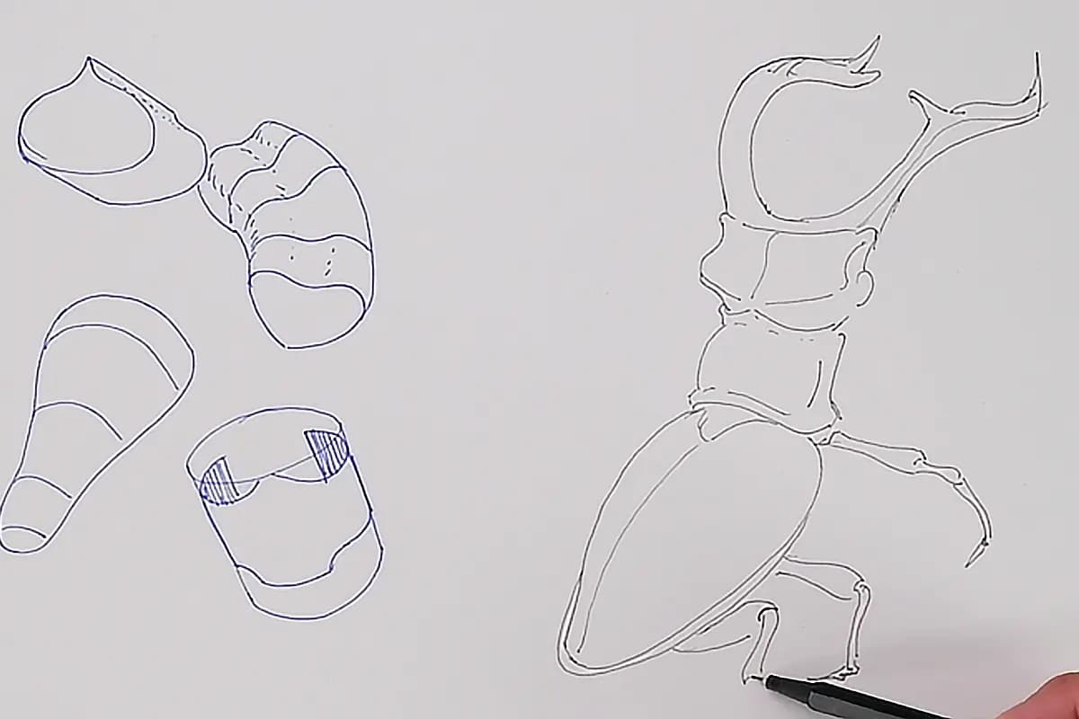Ouah ! Regarde comme j'applique ces formes manipulées !