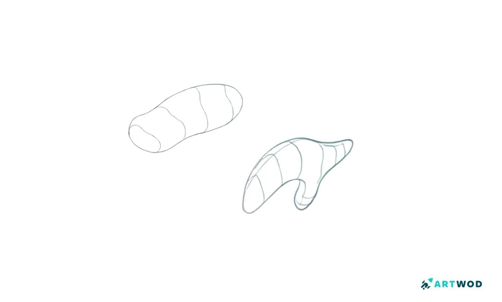 Step 1: Drawing Whales: Realistic and Stylised Marine Art