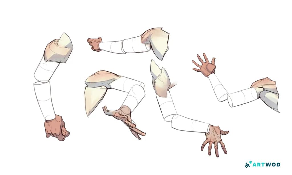 Passo 5: Desenhando Braços: Técnicas de Anatomia e Estilização