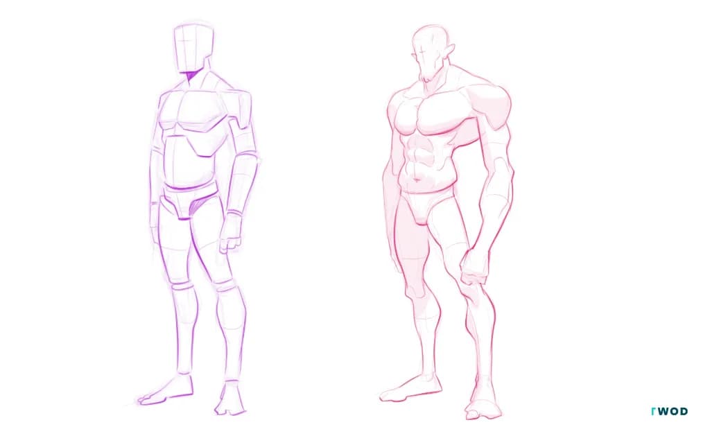 2 drawings digital 2d: on the left a mannequin in purple pencil, on the right a human body, stylyzed, with correct anatomy, drawn with pink pencil