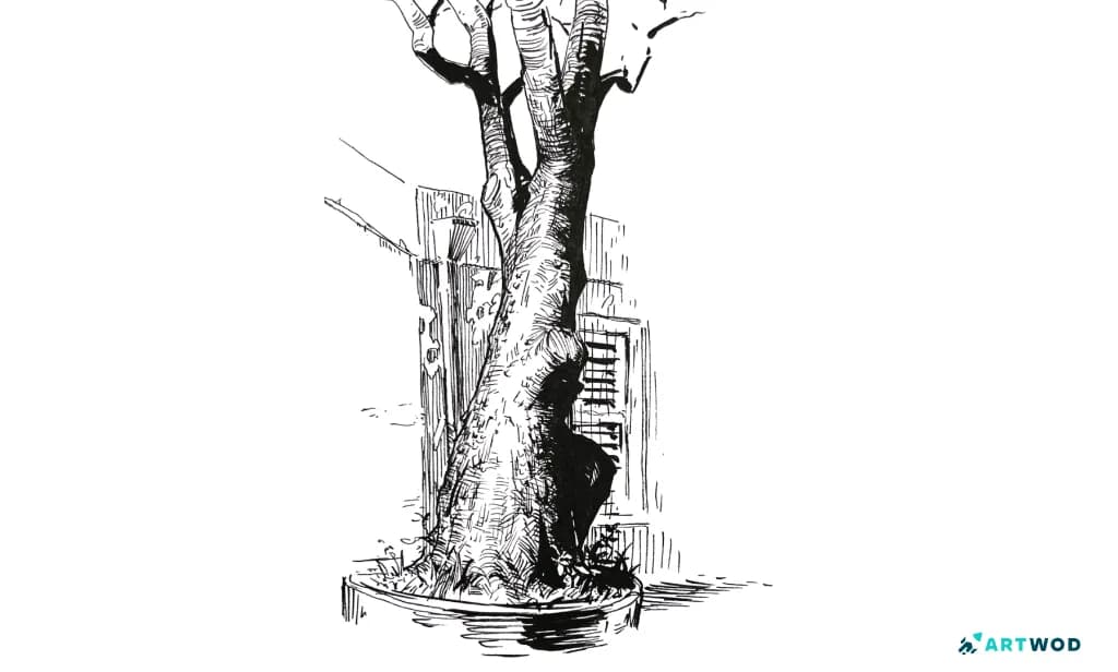 Tree traditional ink drawing by Antonio Stappaerts