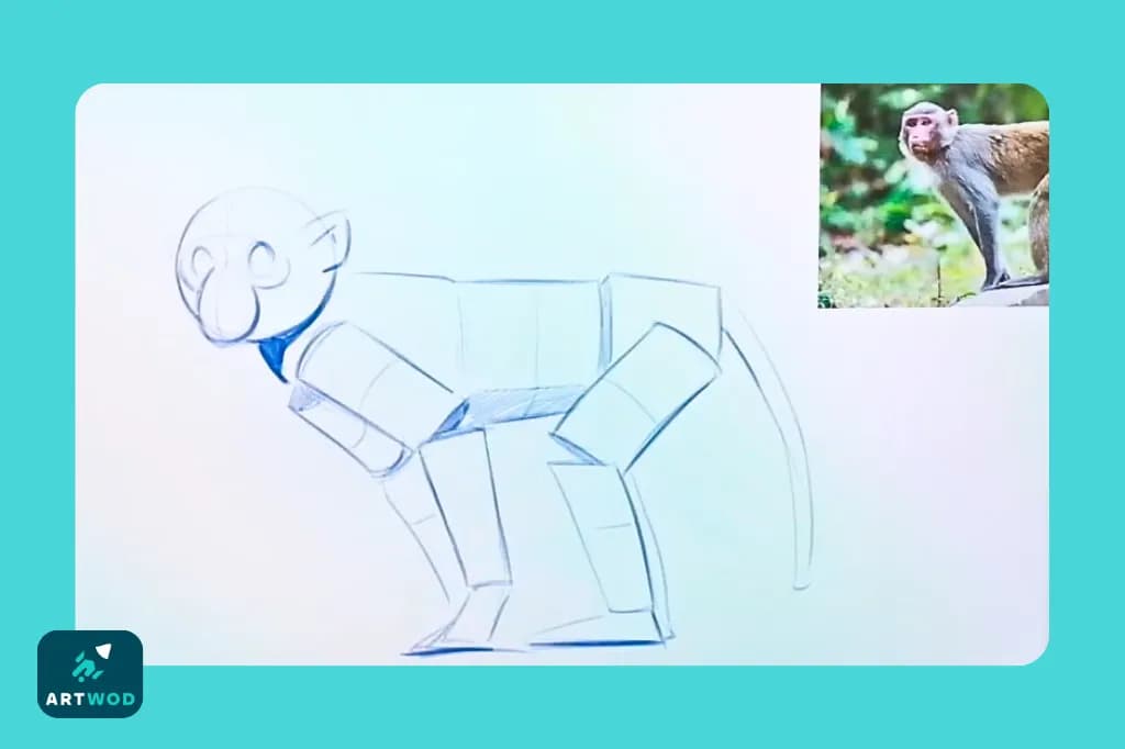 Passo 3: Desenhando macacos de imaginação