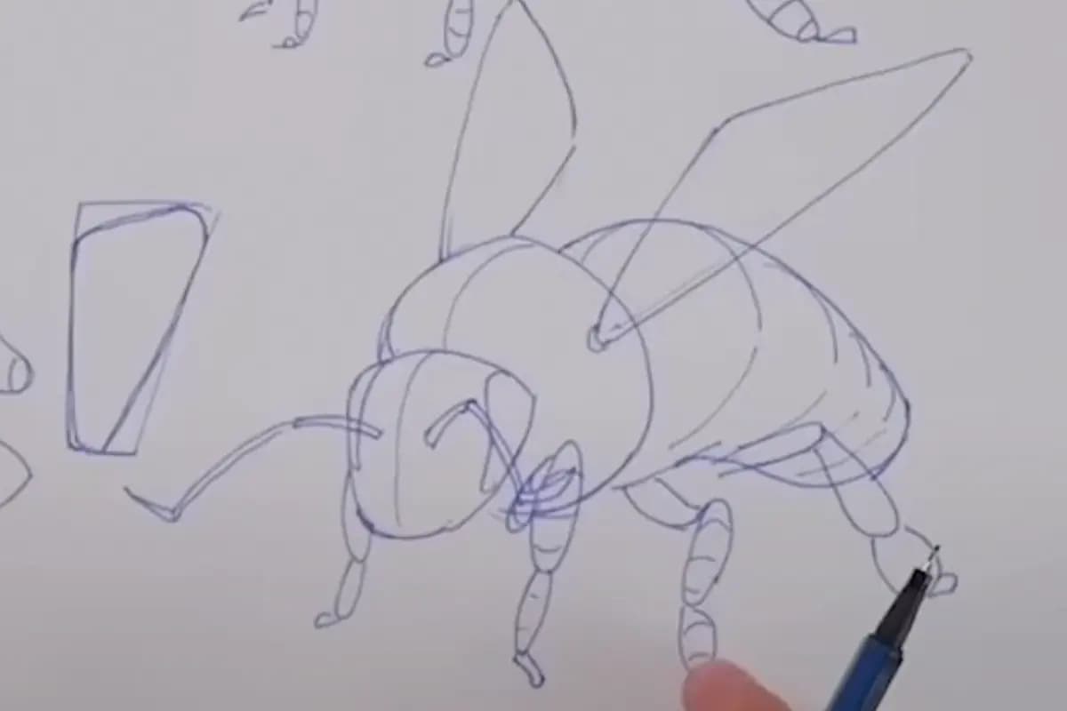 ¡¡Pero no me interesan los insectos!!