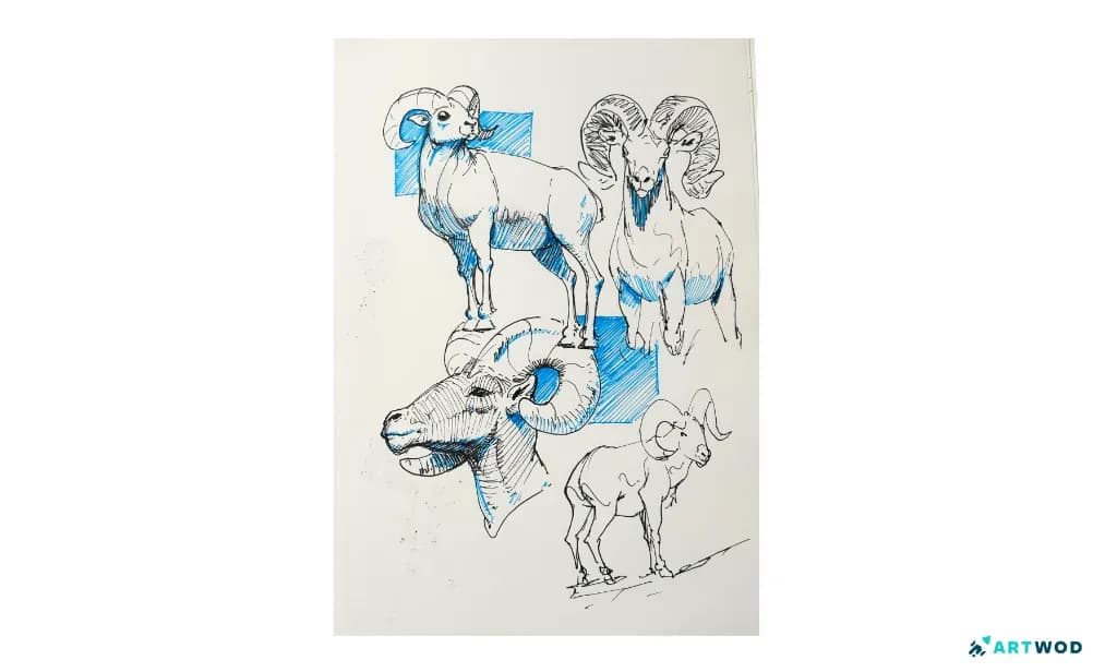 Traditionelle Zeichnung von Antonio Stappaerts, Skizzenbuchseite mit schwarzen und blauen Tierbildern (Bergziegen).