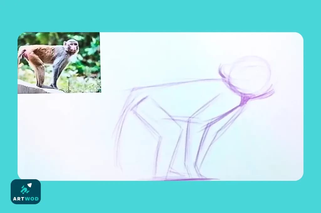 Passo 1: Desenhando macacos de imaginação