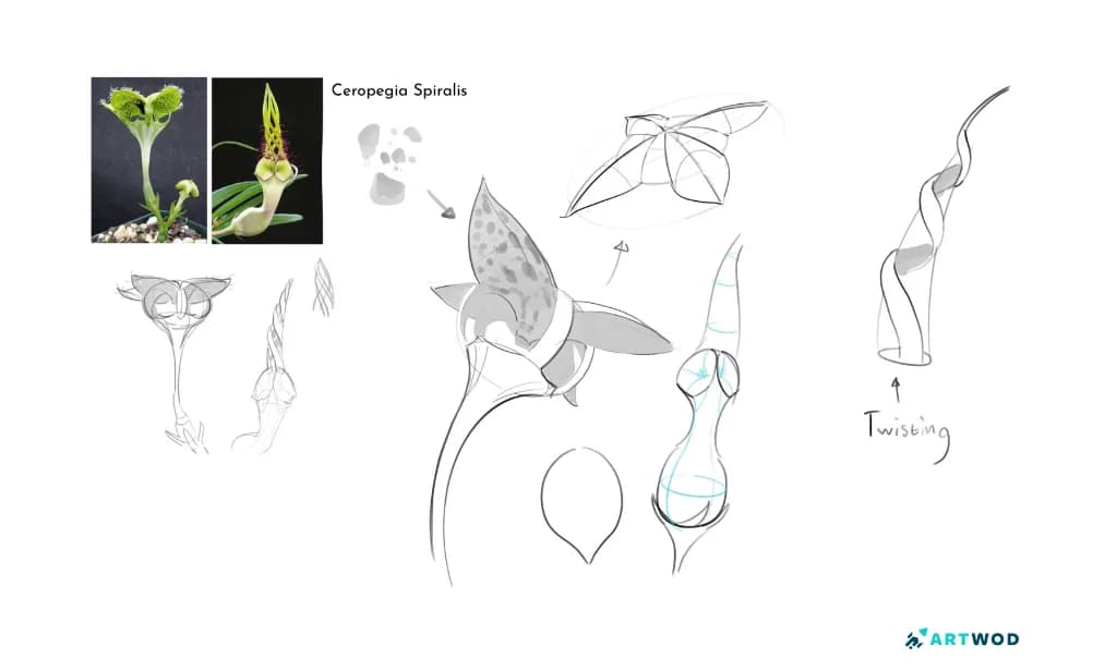 Passo 2: Design de Criaturas Vegetais: Natureza Se Junta à Fantasia na Arte Conceitual