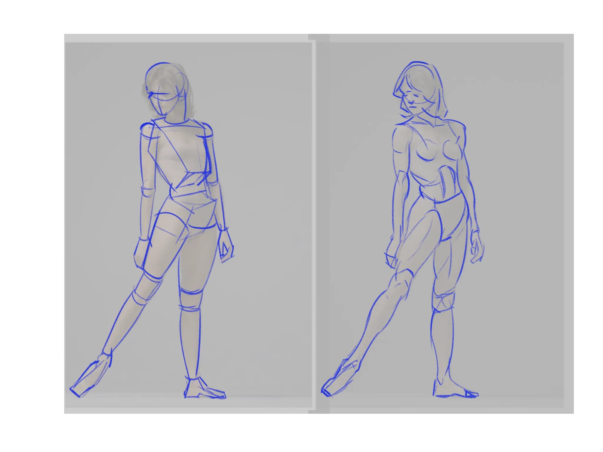 Anatomy with forms