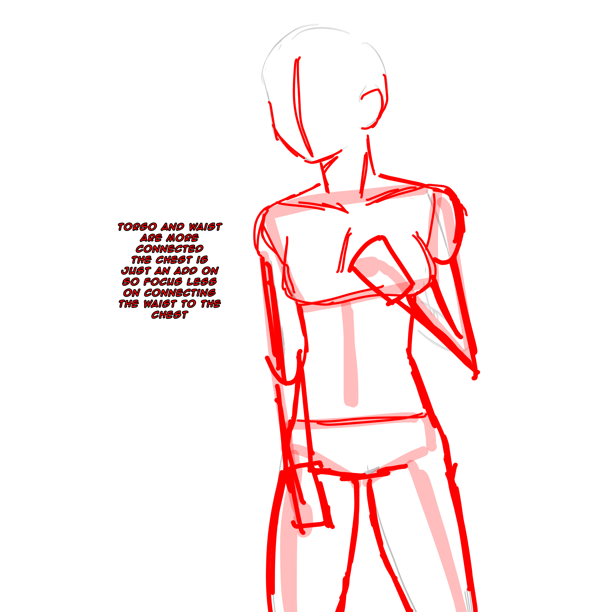 Anatomy practice