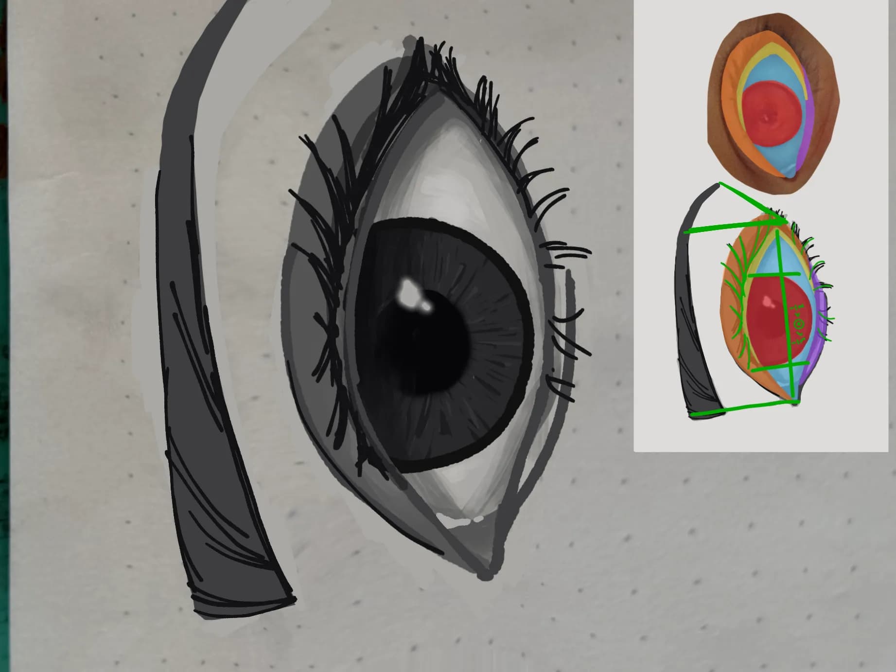 Eyes