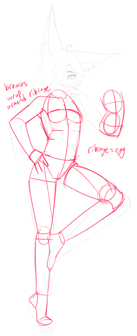 Anime Style Anatomy