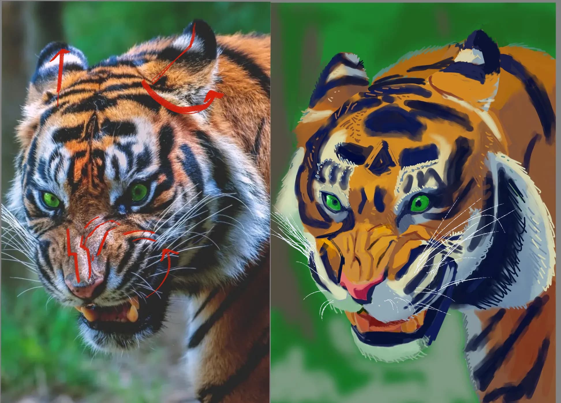 Tiger, of sorts