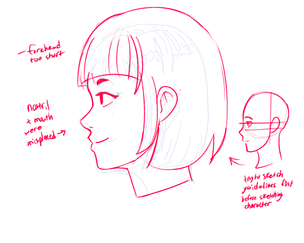 Anime girl head anatomy