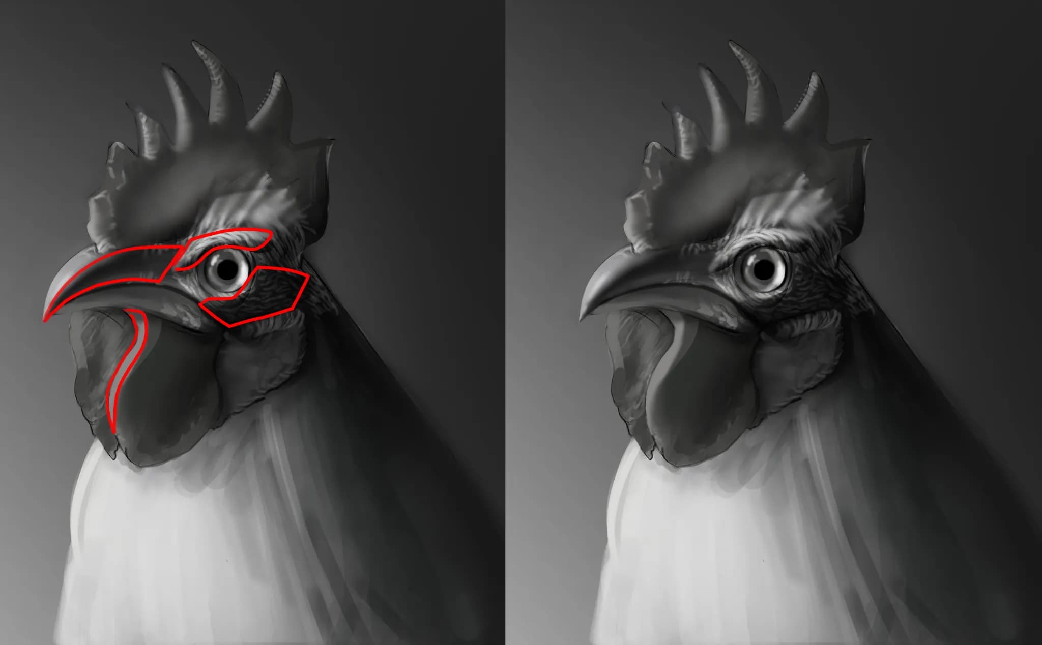 Animal drawing