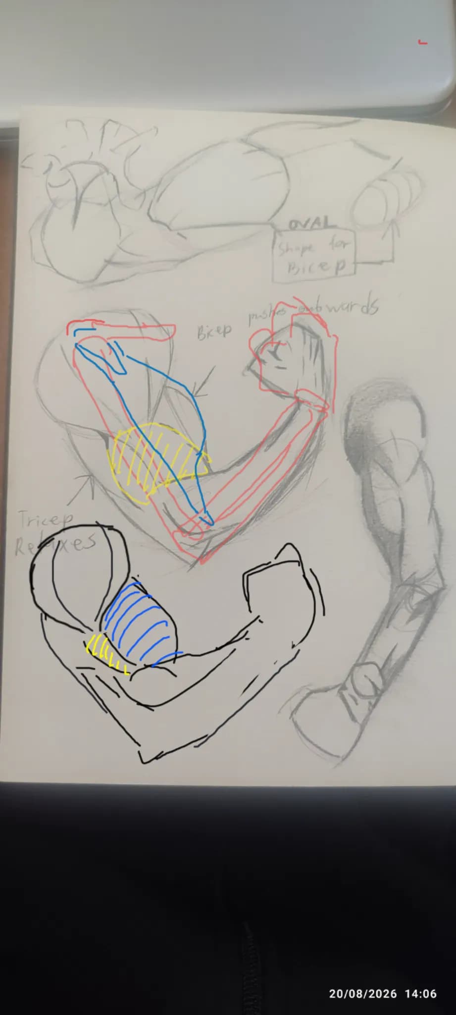 Arm study