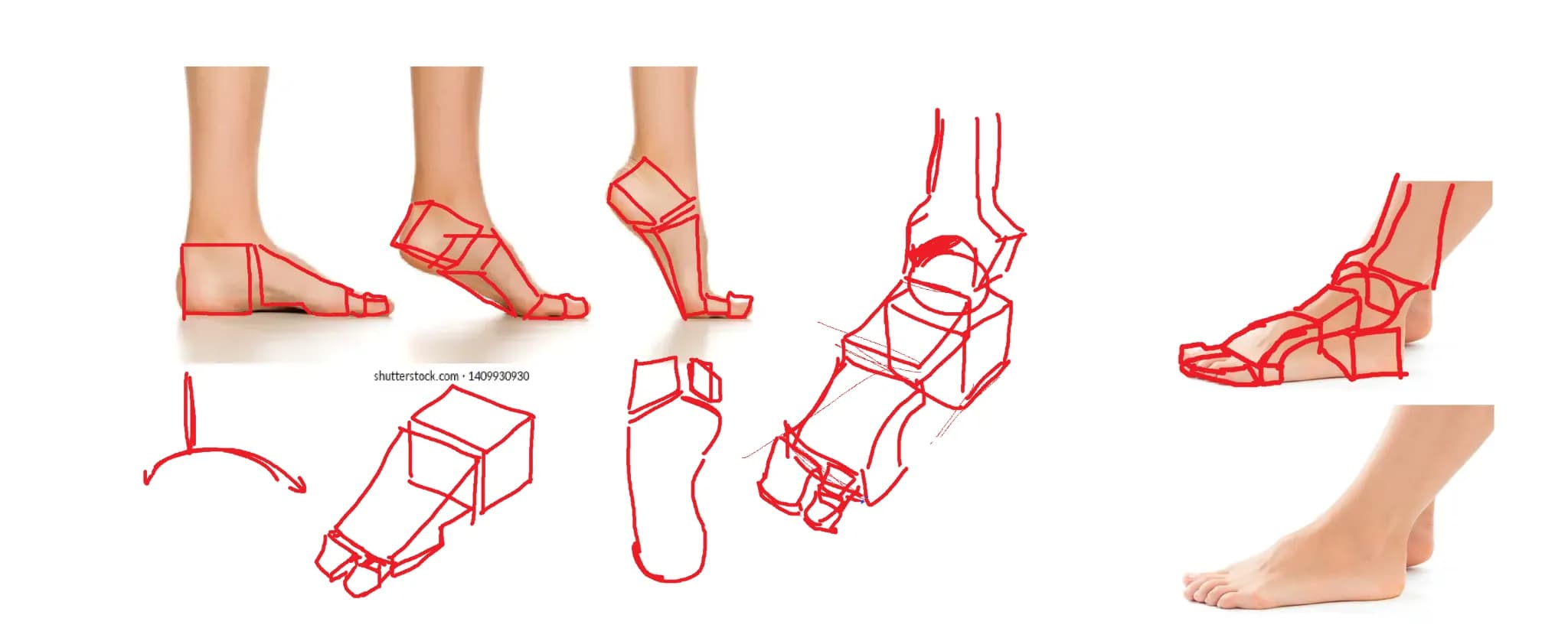 Feet drawing practice