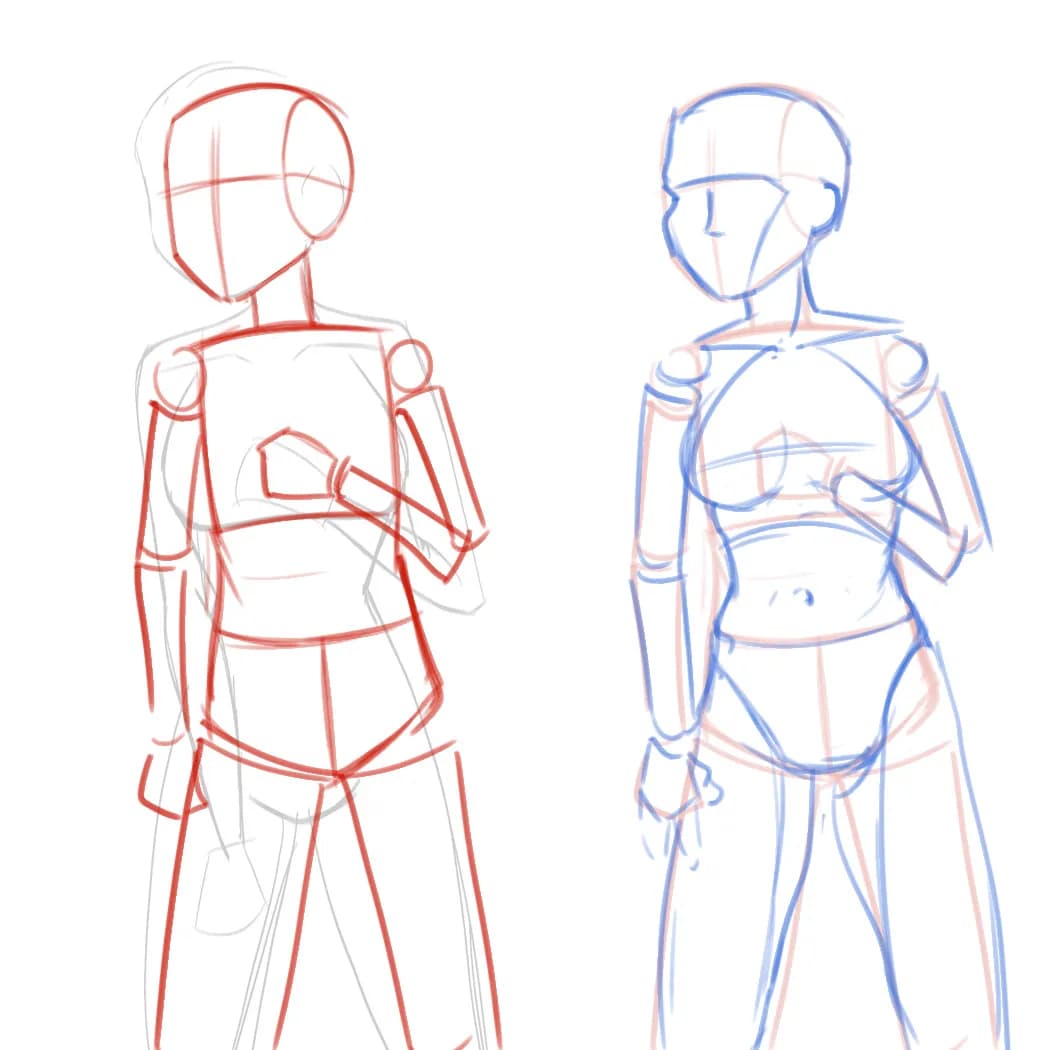 Anatomy practice