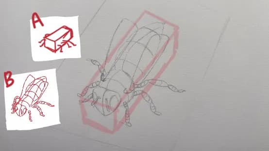 A bee