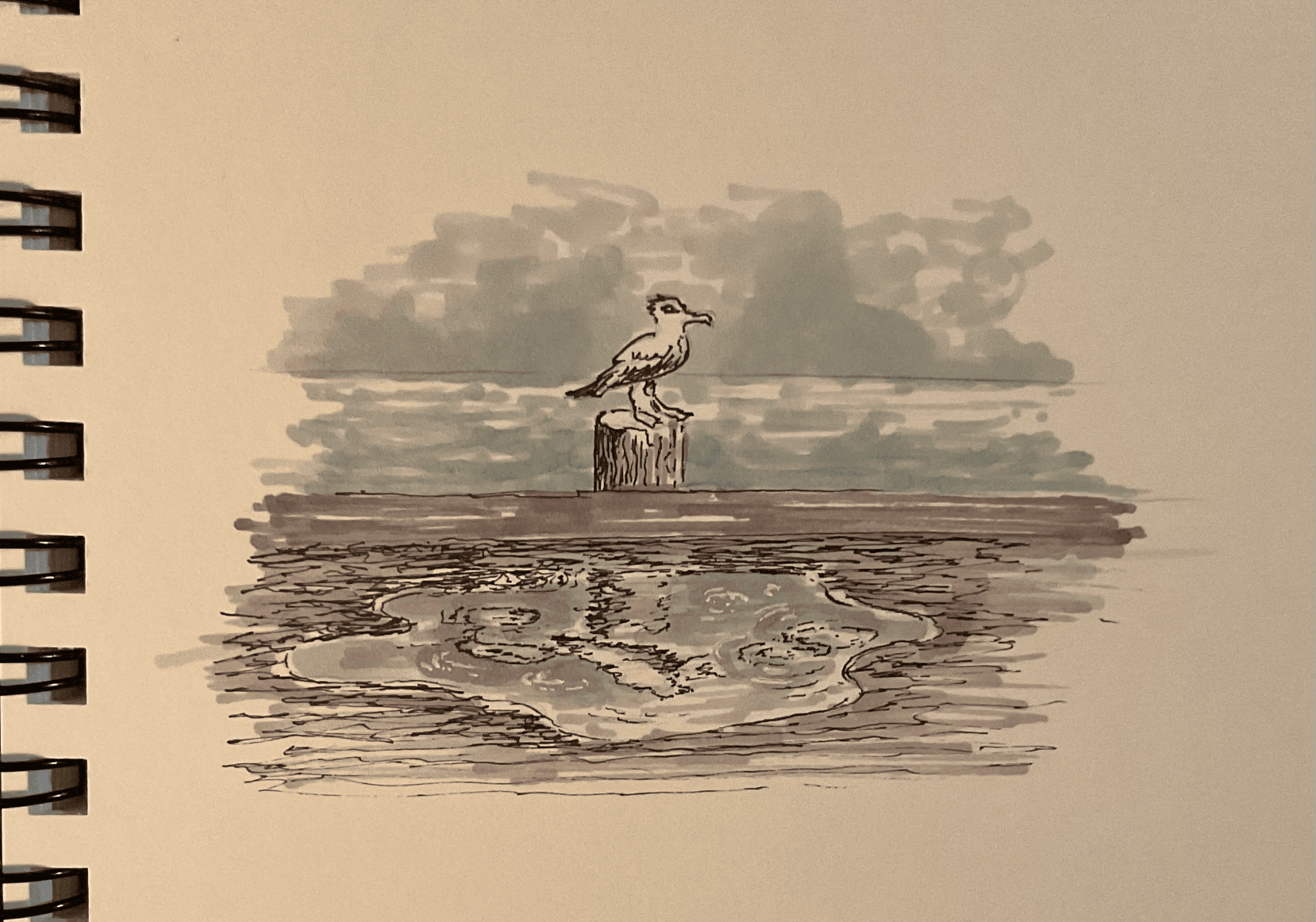 Seagull watching the storm