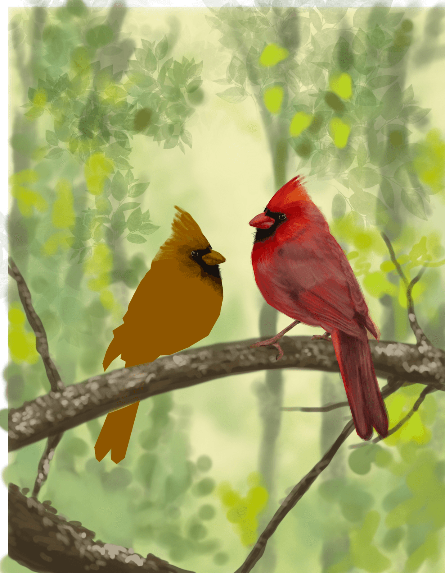 Canary birds