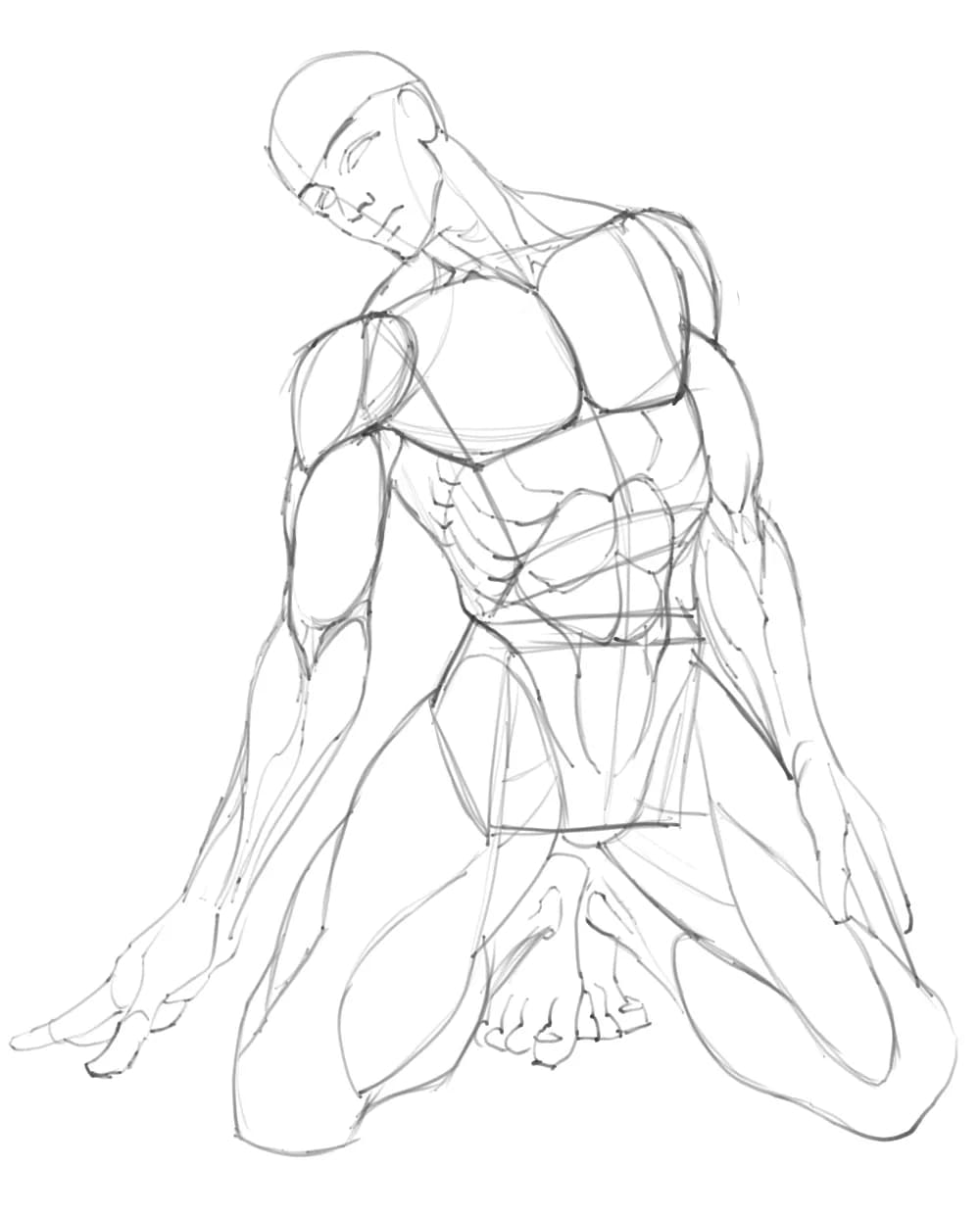 Anatomy Study