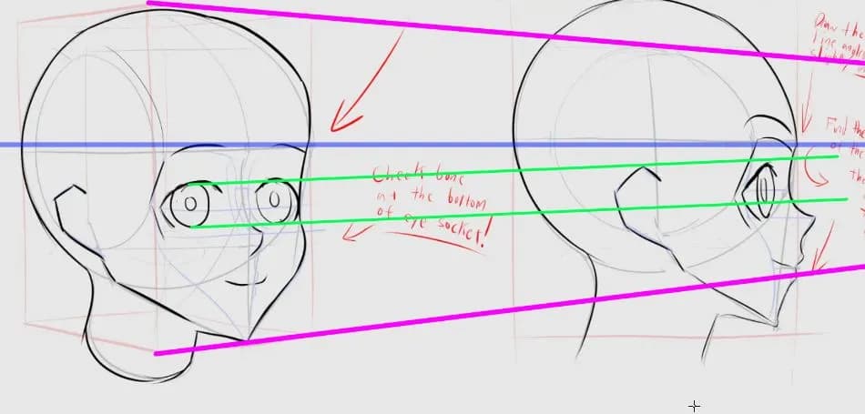 Head Angle Study