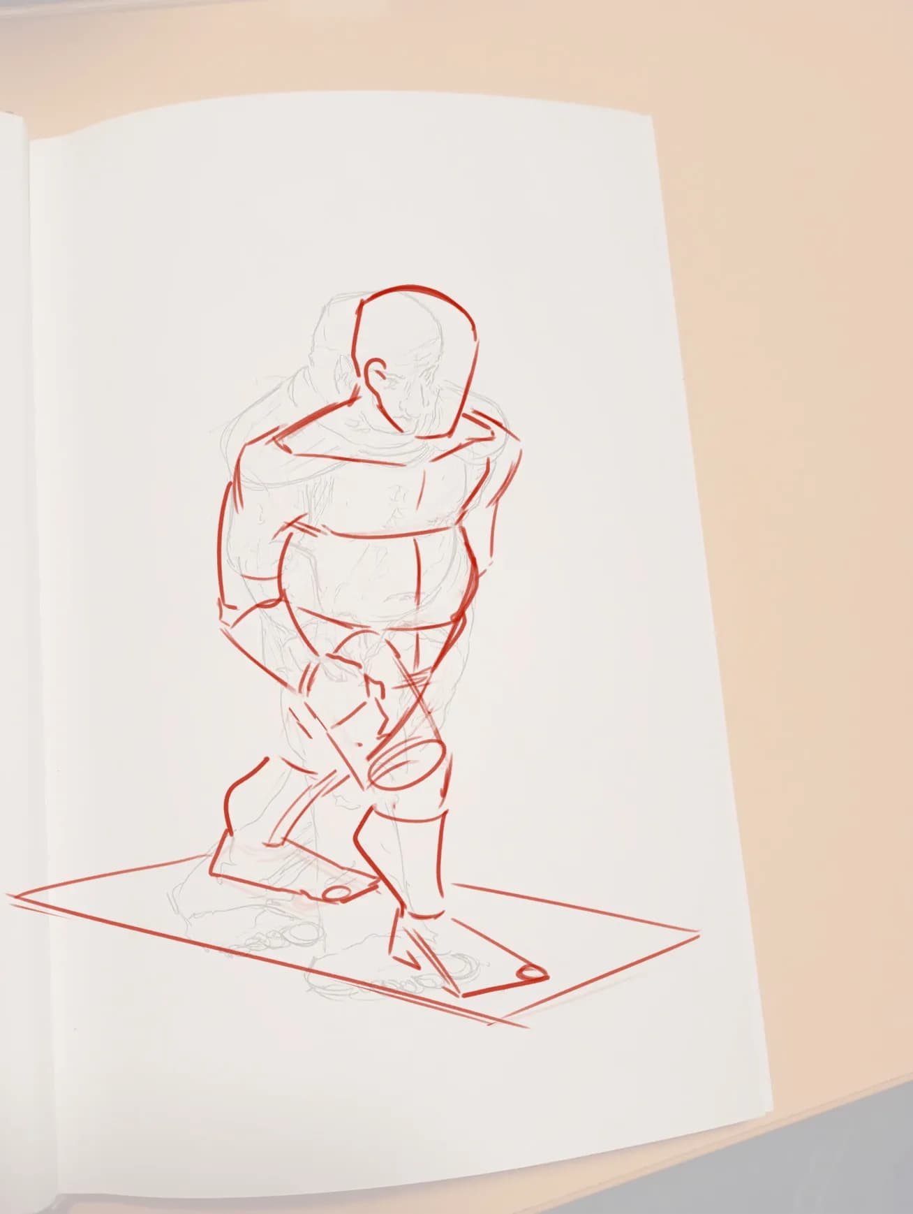 Anatomy