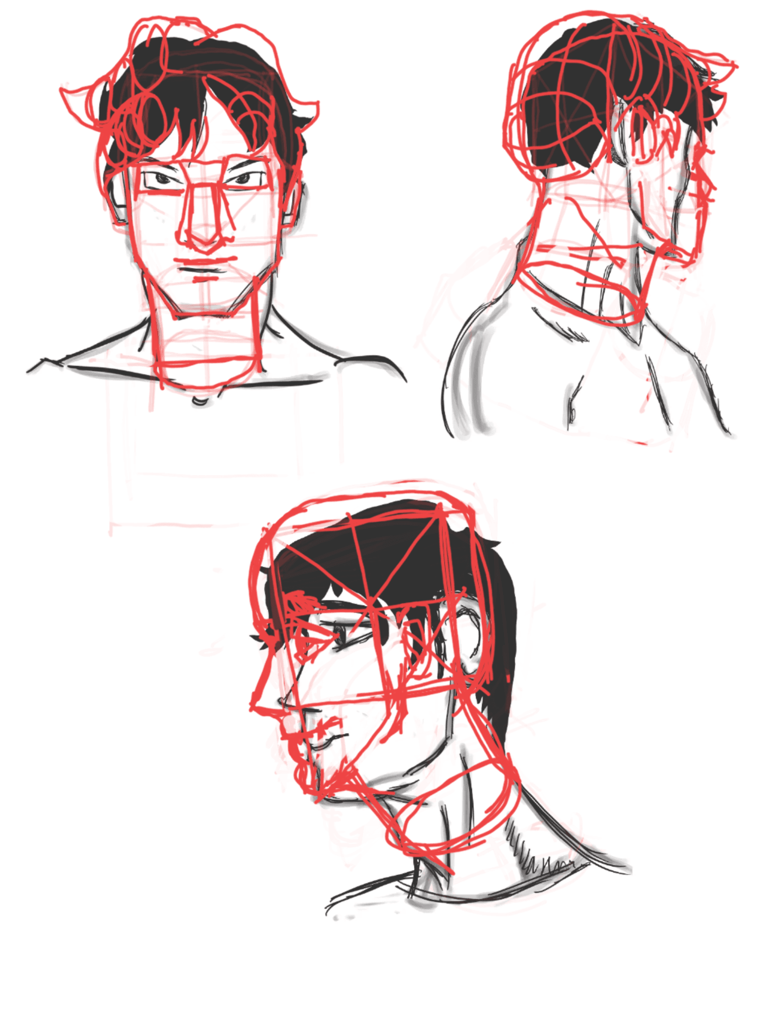 neck