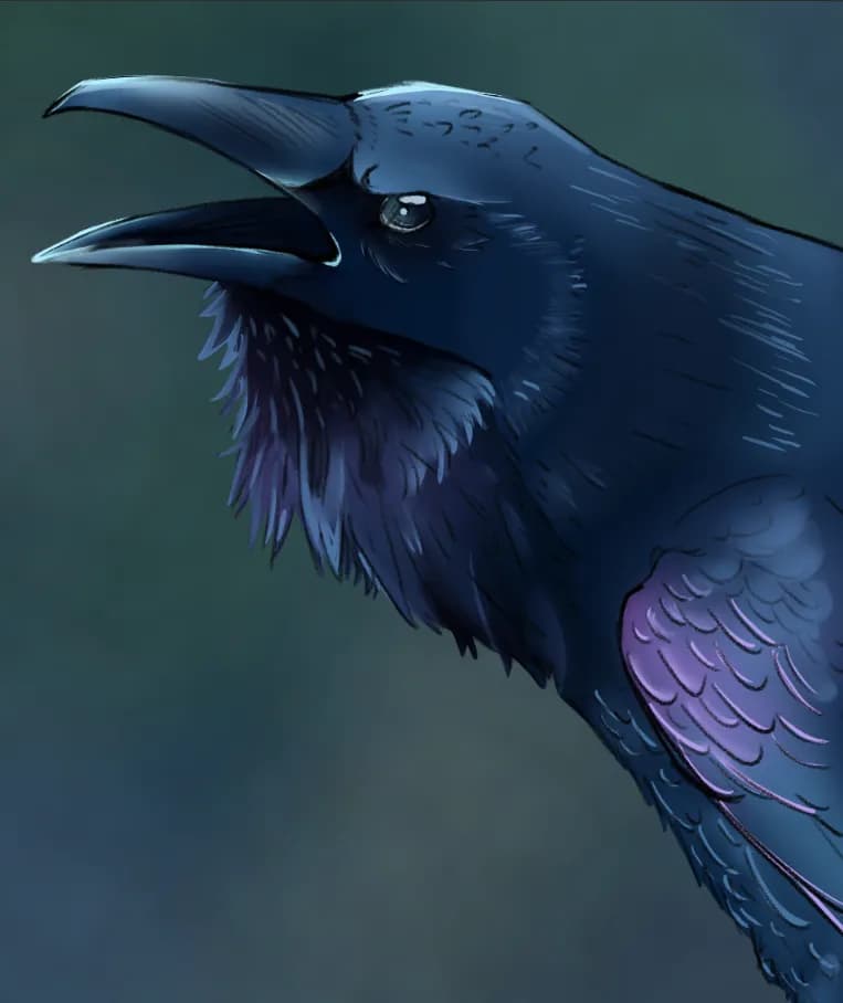 Crow!