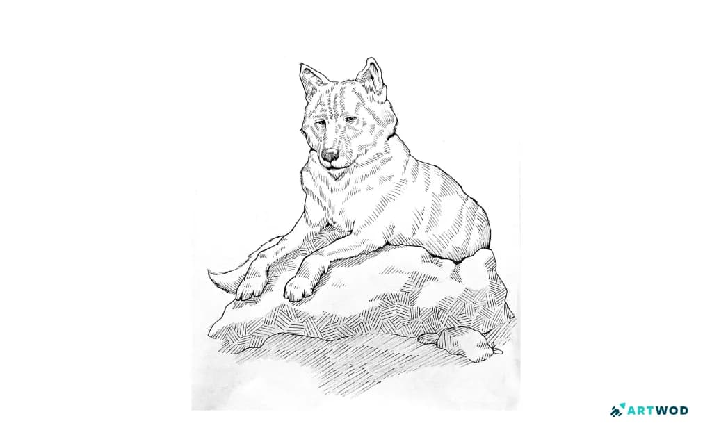 Inktober Lady drawing by Rikuh, Artwod Community Feedback submission, traditional art. Lady Wolf from Game of Thrones.