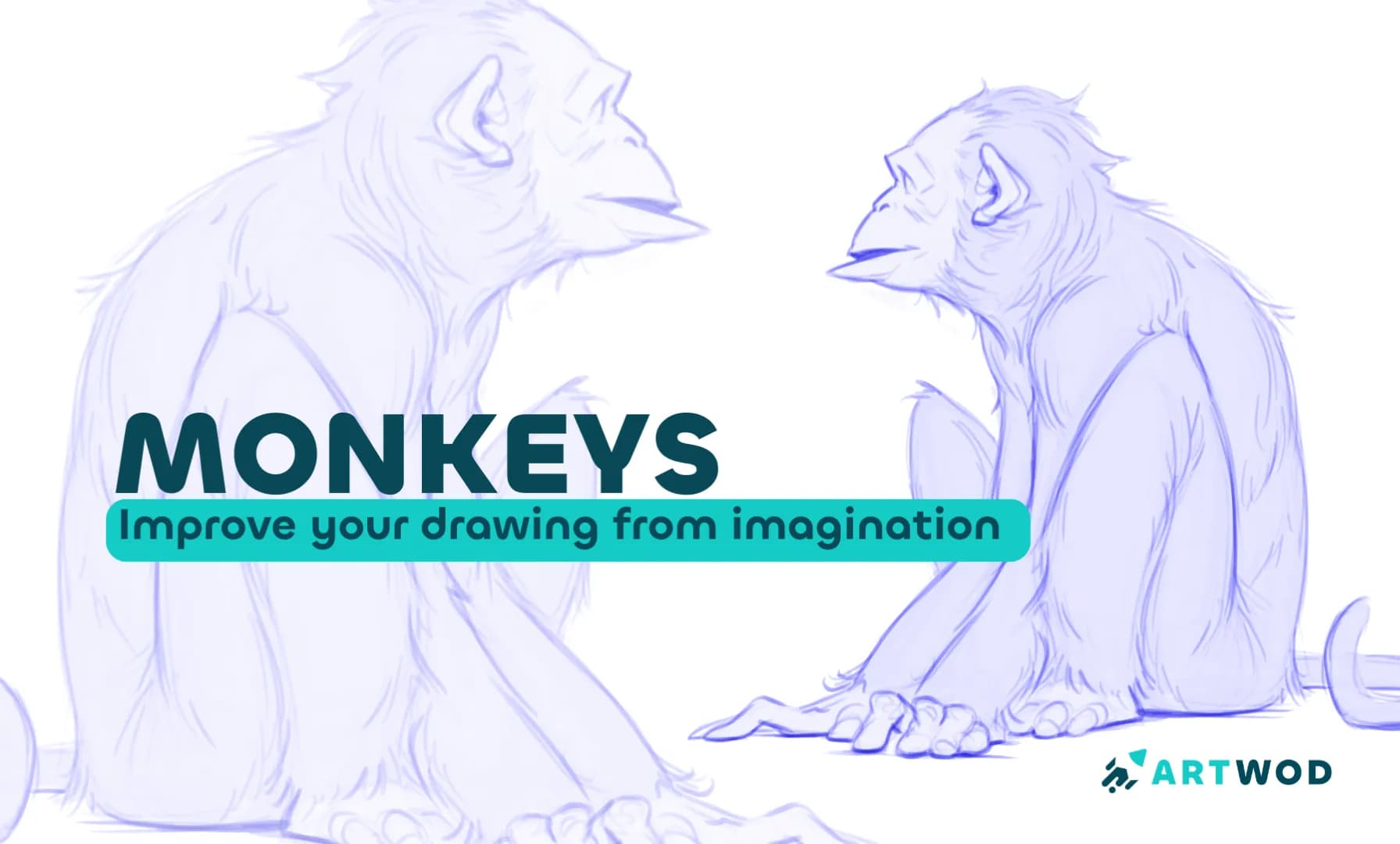 Como Desenhar Macacos para Iniciantes: Guia de 15 Minutos