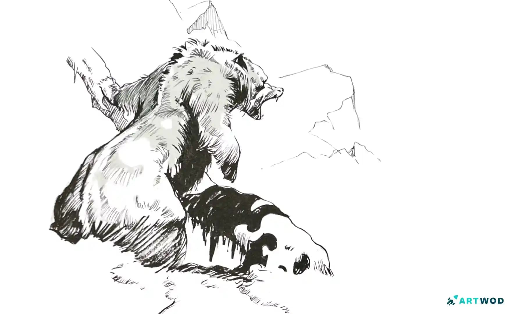 Bear Ink Drawing by Antonio Stappaerts, traditional drawing