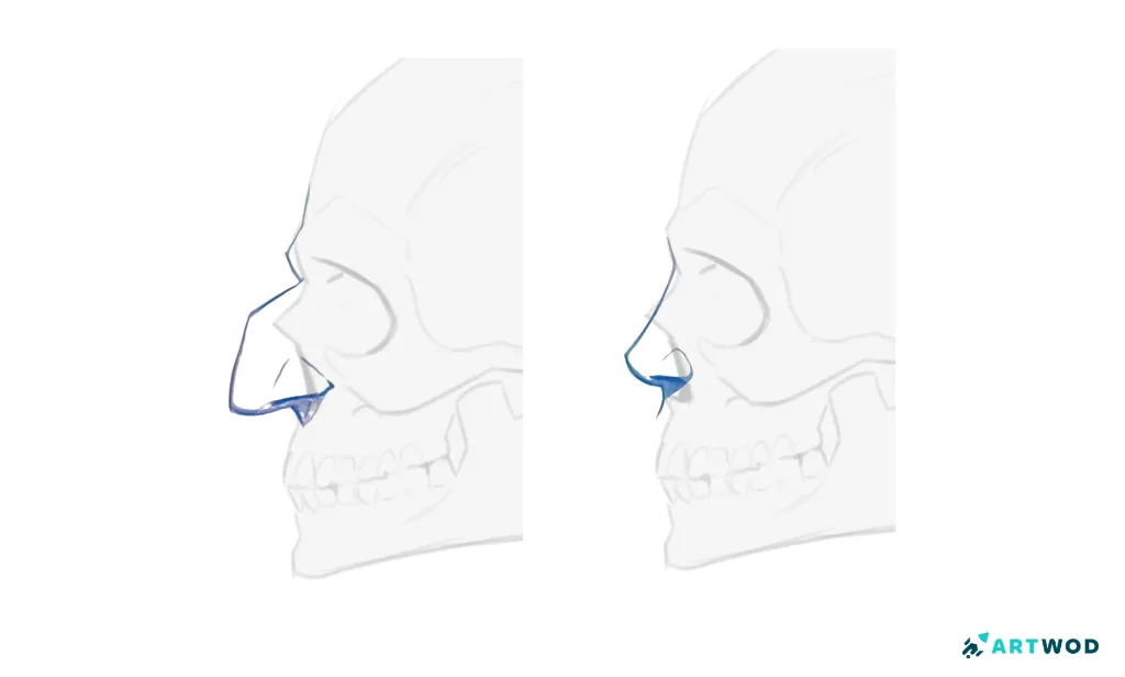 Step 3:&nbsp;Drawing Noses: Realistic and Stylised Techniques