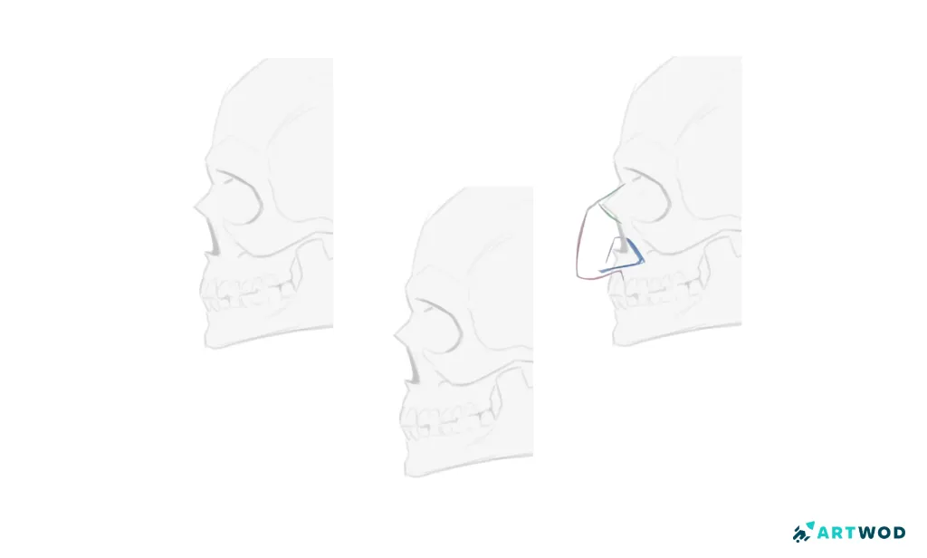 Step 2:&nbsp;Drawing Noses: Realistic and Stylised Techniques