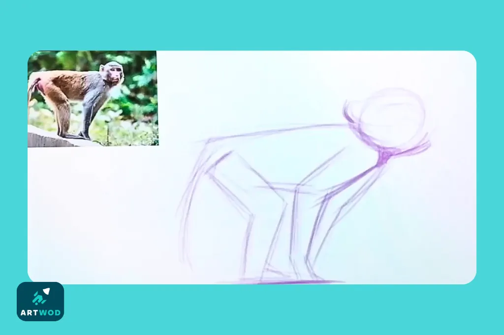 Step 1: Drawing monkeys from imagination
