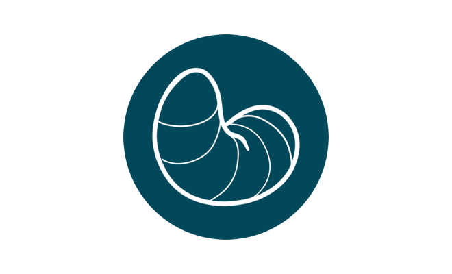 manipulatie icon